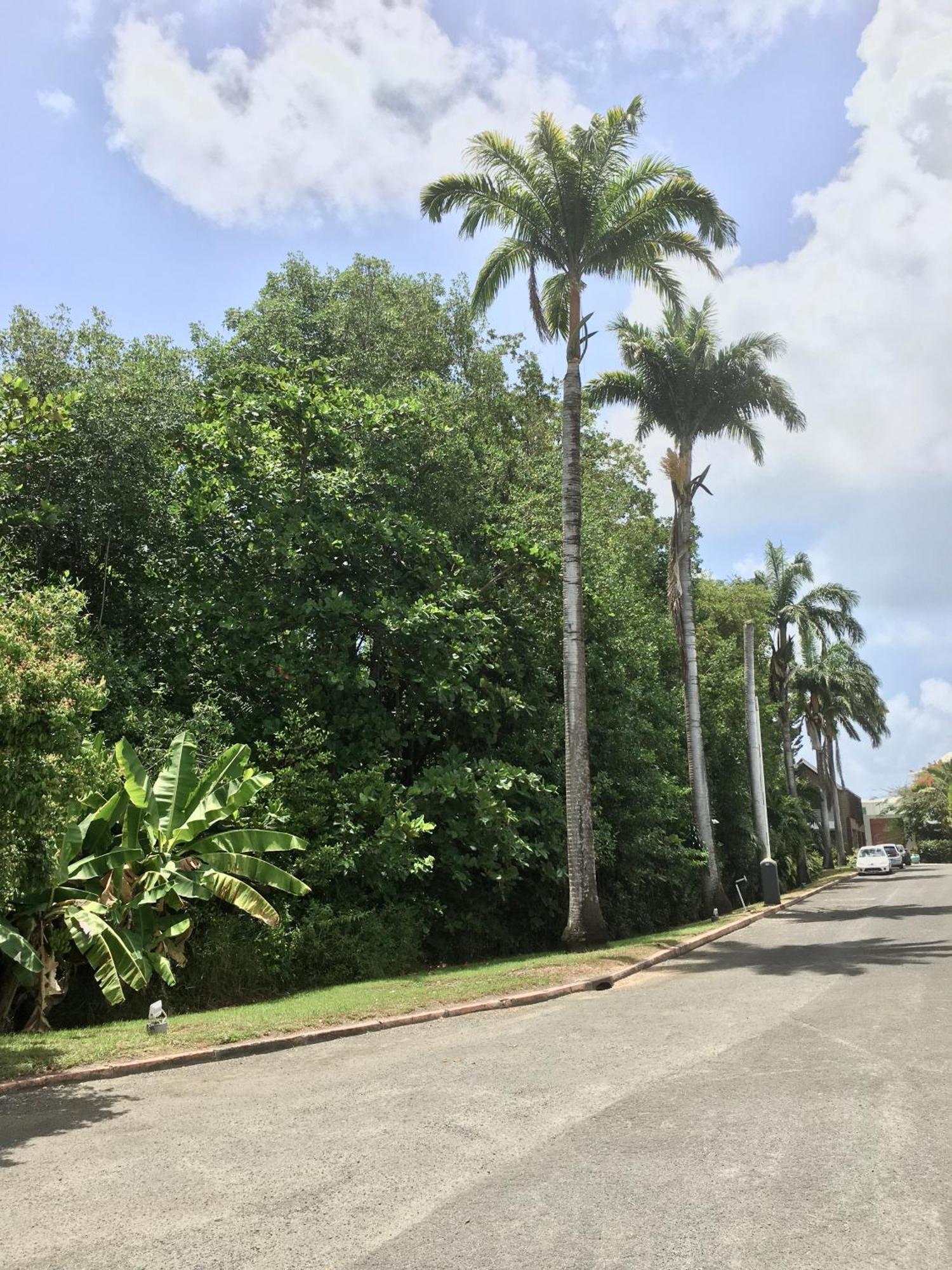 Appartement St Francois Manganao Guadeloupe 생프랑수아 외부 사진